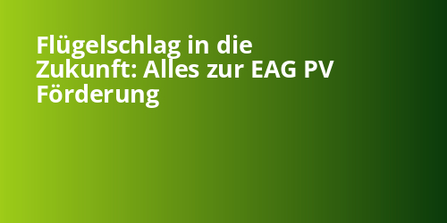 Flügelschlag in die Zukunft: Alles zur EAG PV Förderung - Photovoltaik.sh