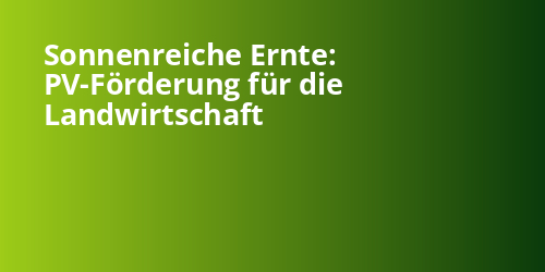 Sonnenreiche Ernte: PV-Förderung für die Landwirtschaft - Photovoltaik.sh
